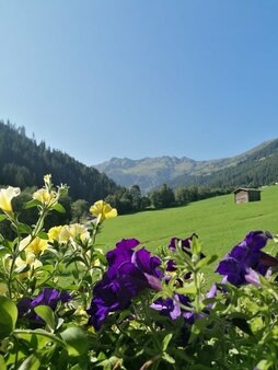 Ausblick vom Hacklstoana Ferienwohnungen