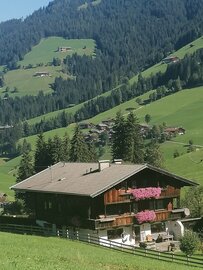 Ferienwohnungen Hacklstoana Alpbach
