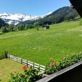 Frühling am Balkon Ferienwohnungen Hacklstoana