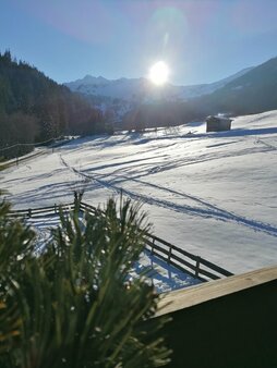 Ausblick vom Hacklstoana Ferienwohnungen